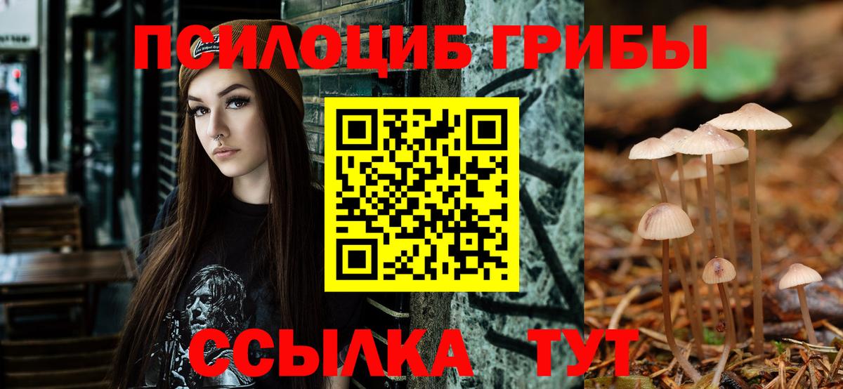 Галлюциногенные грибы мухоморы  Вход с VPN  Псилоцибиновые грибы прущие грибы  Мытищи 