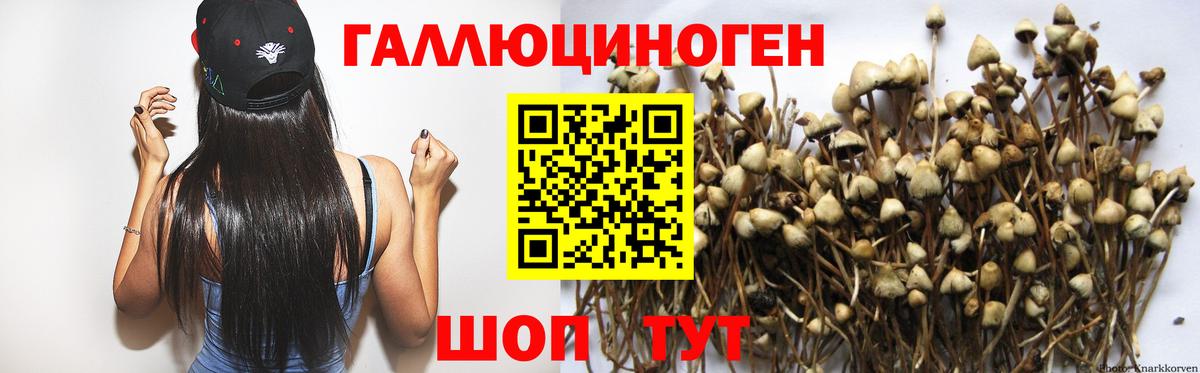 Псилоцибиновые грибы Cubensis Мытищи